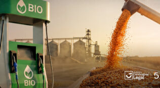 ABIOVE se torna primeira associada do segmento de óleos vegetais no Instituto Combustível Legal. Parceria une forças pelo mercado ético e legal de biodiesel